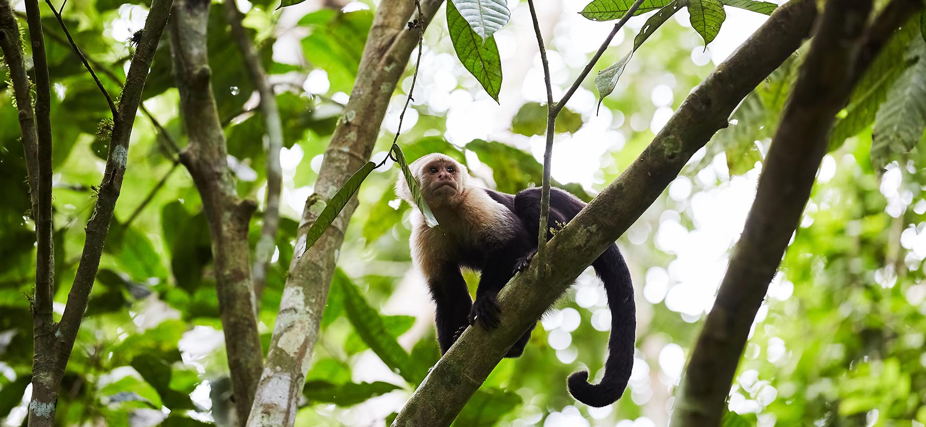 All roads lead to our beautiful Tambopata jungle