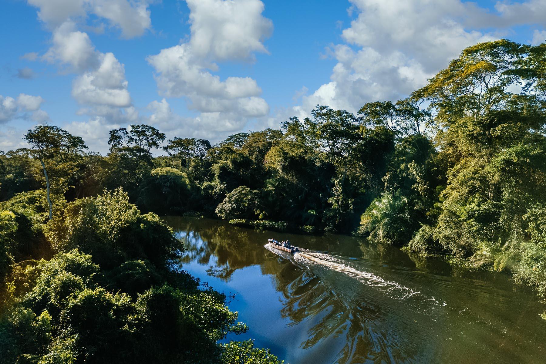 Manu & Tambopata