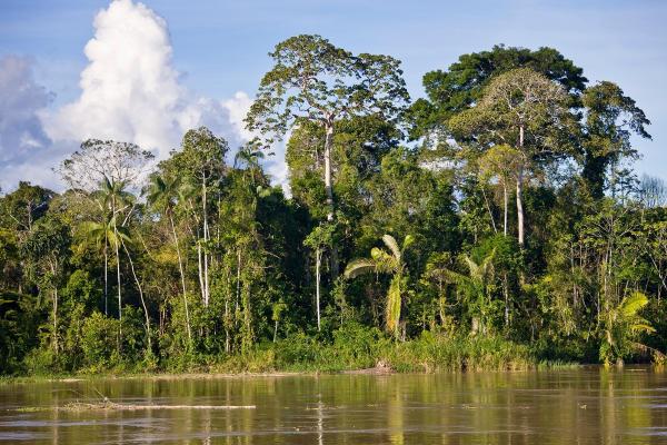 Peru: As riquezas dos Andes e da Amazônia