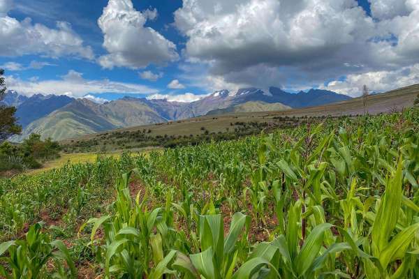 Andean Cooking Classes