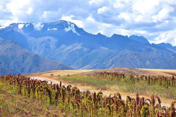 Andean Cooking Classes