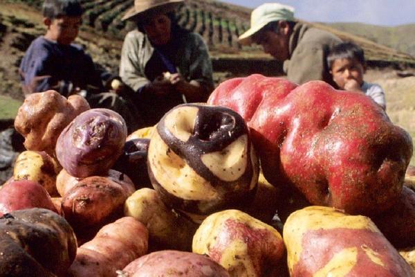 Andean Cooking Classes