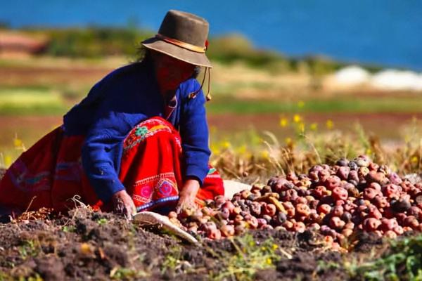 Andean Cooking Classes