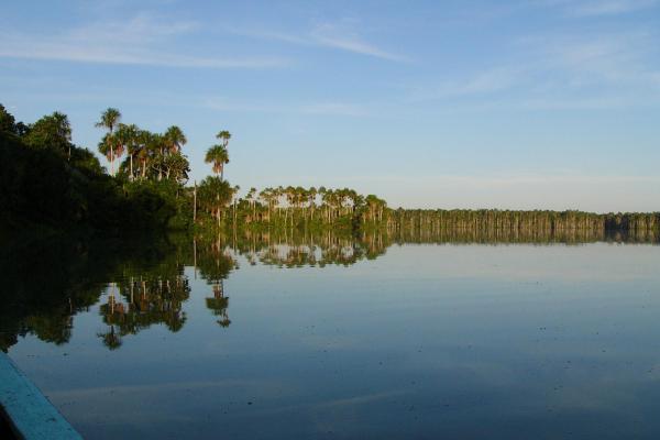 Día 1: Vuelo a Puerto Maldonado – Cocha Caiman