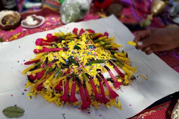 Discover the secrets of Pachamama