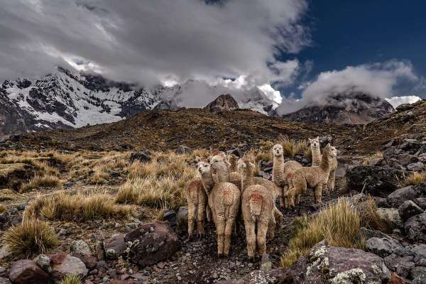 Holidays in Peru: Legend & Gastronomy