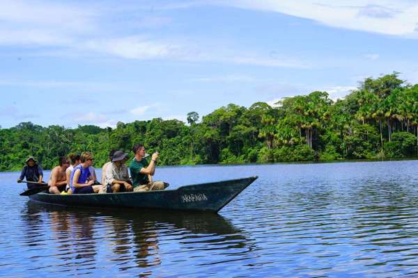Journey to the Heart of Amazon