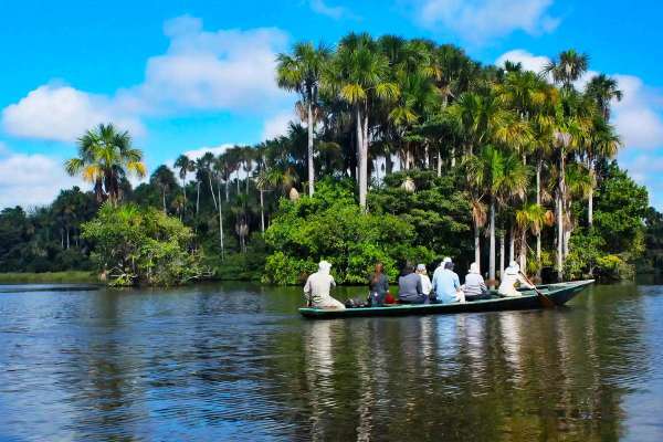 Journey to the Heart of Amazon