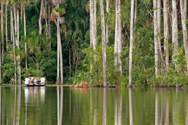 Journey to the Heart of Amazon