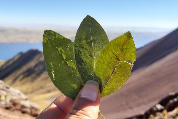 Ritual of veneration to Pachamama