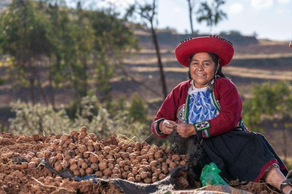 Pachamanca: Andean ritual banquet