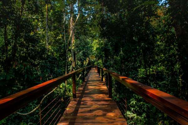 Peru: Andean & Amazonian riches