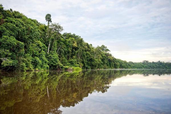 Tambopata: Between Parrots & Macaws