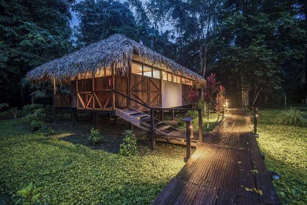 Tambopata: Between Parrots & Macaws