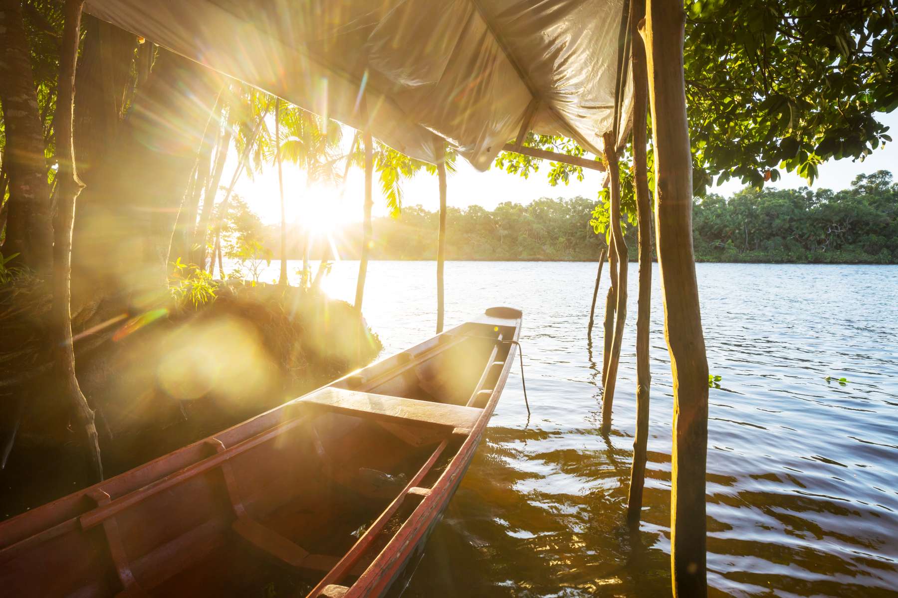 The 4 Best Days in the Peruvian Amazon: All-Inclusive Tour